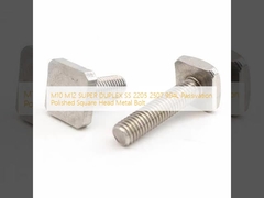 M10 M12 SUPER DUPLEX SS 2205 2507 904L Passivasyon Polişli Kare Başlı Metal Bolt